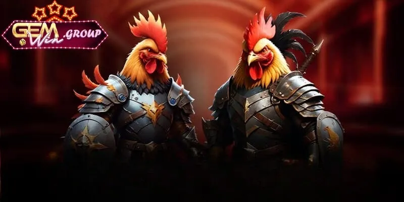 Đá Gà Trực Tuyến - Đấu Trường Dành Cho Game Thủ Bí quyết soi kèo đá gà trực tuyến