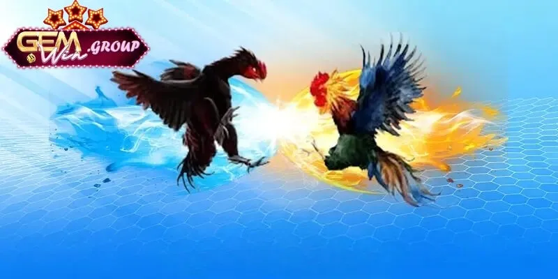 kinh nghiệm siêu cá cược đá gà​ cựa dao