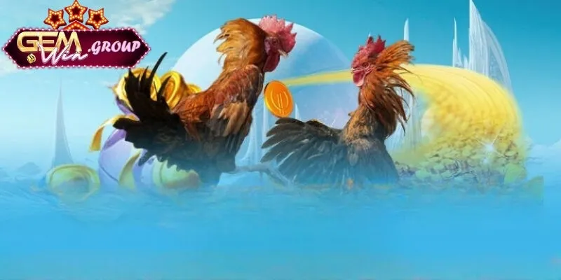 luật chơi đá gà - Lựa Chọn Hàng Đầu Của Cược Thủ 2025