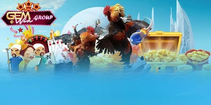 Luật chơi luật chơi đá gà cho hội viên mới