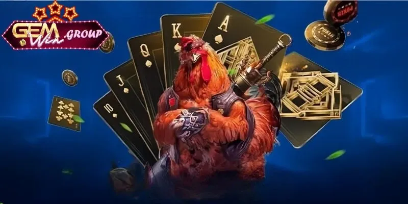 Mẹo Chọn Gà Đá Hay - Bí Quyết Tìm Chiến Kê Tại GEMWIN Hình dáng gà chọi bí quyết phản ánh sức mạnh chiến kê