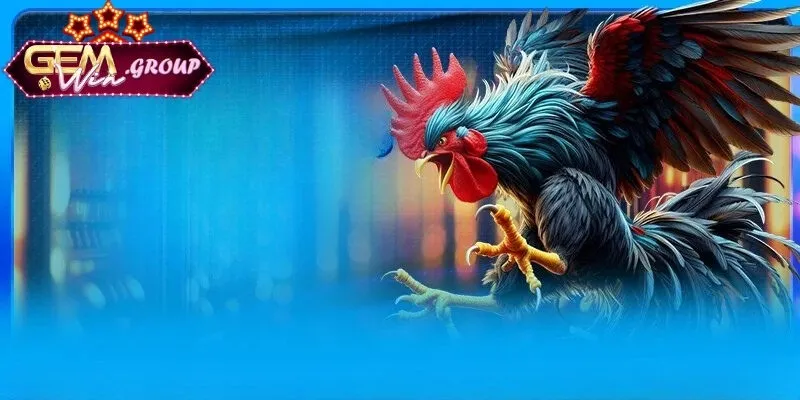 Kinh Nghiệm Soi Kèo Đá Gà Thắng Lớn Chuẩn Từ Chuyên Gia